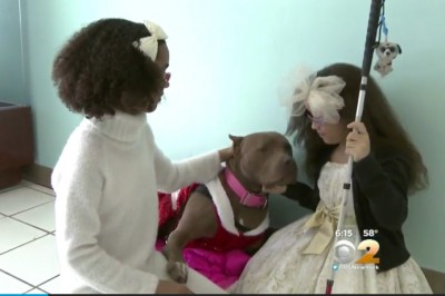 Niewidome siostry adoptują niepełnosprawnego psa! Niesamowity związek pełen miłości! 