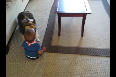 Nikt nie chciał uwierzyć, co jej pies wyprawia z dzieckiem! Chwyciła więc kamerę i nagrała niezwykły film! 