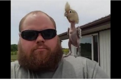 Oskubali tą papugę z piór dla żartu! Zobacz jak zareagowała gdy trafiła na swojego wybawce! 