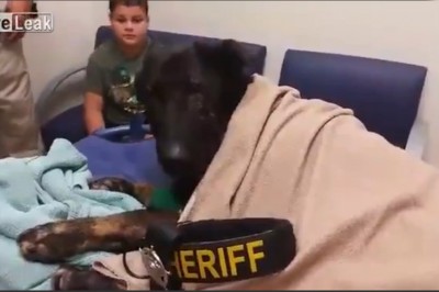 Ostatnie pożegnanie czworonożnego oficera policji. Ten moment wyciska łzy! 