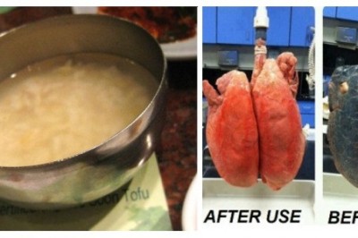 Palisz więcej niż 5 lat? Zobacz jak ta receptura może oczyścić Twoje płuca!