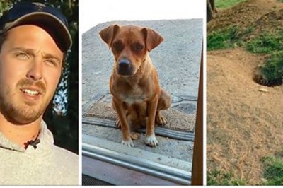 Pies przerwał wieczór kawalerski gdy długo w ciszy siedział pod drzwiami! Gdy poszli za nim odkryli sekret!