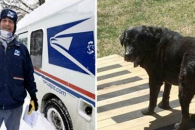 Pies witał listonosza codziennie przez lata! Któregoś dnia mężczyzna dostrzega że dzieje się coś złego!