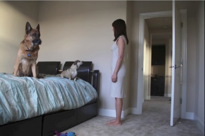 Poprosił swoją żonę żeby stawała dokładnie w tym samym miejscu każdego ranka! Zobacz dlaczego! 