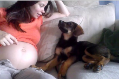 Powiedziała swojej suczce, że jest w ciąży i wkrótce urodzi dziecko! Reakcja zwierzaka jest niezwykła! 