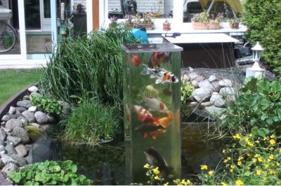 Rewelacyjny pomysł na oryginalny ogród! Wieża widokowa dla rybek w oczku wodnym! 
