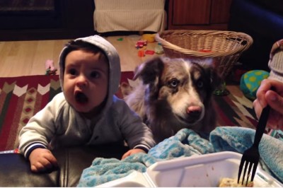 Rodzice chcą żeby dziecko powiedziało 