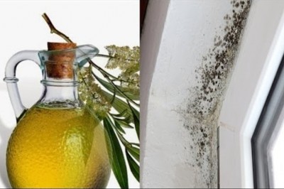 Rozpyl ten olej na ścianach gdzie jest grzyb a już nigdy więcej nie ujrzysz tam pleśni! Idealny rezultat! 