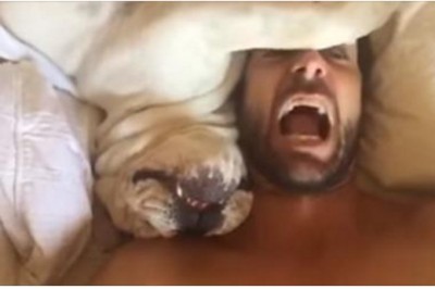 Ta reakcja sprawiła, że płaczę ze śmiechu! Właściciel budzi psa który odpowiada mu jak człowiek!