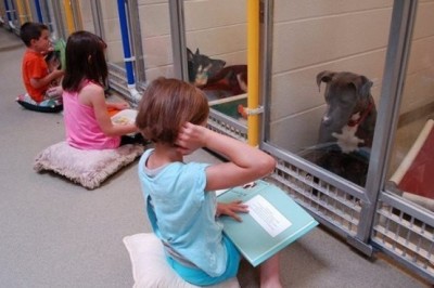 Te dzieci robią coś niesamowitego! Czytanie bajek zwierzętom w schronisku pomaga im oswoić się z ludźmi!