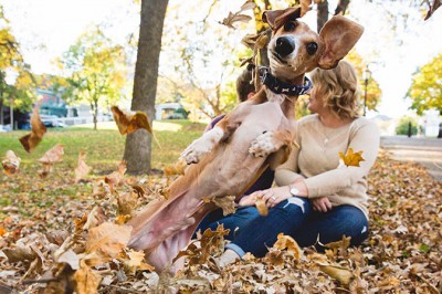 Ten psiak całkowicie ukradł sesję zdjęciową zaręczonej pary! Mistrz  pierwszego planu!