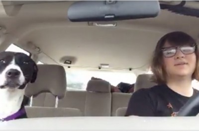 To miała być zwykła przejażdżka z psem! Do czasu aż, w radiu poleciała TA piosenka! Niesamowity!