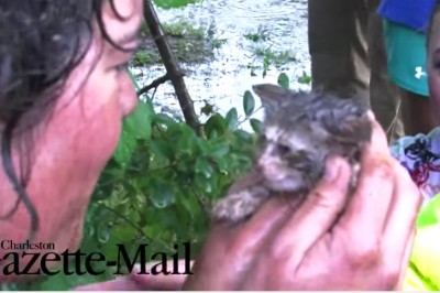 Tonący kociak przeraźliwe wołał o pomoc! Zobacz niezwykła akcje ratunkową która ocaliła mu życie! 