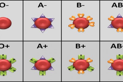 Twoja grupa krwi mówi bardzo dużo o Twoim zdrowiu i podatności na choroby!