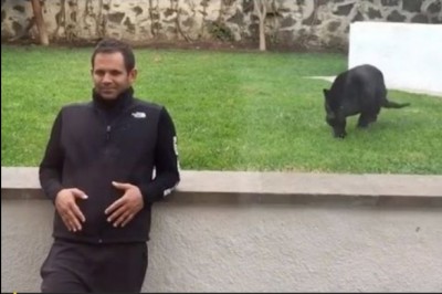 Tym razem nie było szyby! Pantera rzuca się na człowieka w zoo!