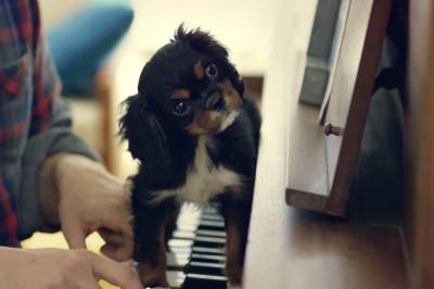 Typowy dzień silnego niezależnego mężczyzny.