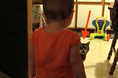 Ukrytą kamerą nagrał nietypowe zachowanie swojej córeczki! Robi to codziennie rano ze swoim kotem!