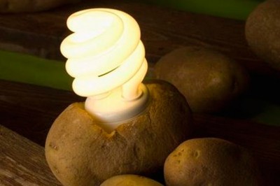 Użyła zwykłego ziemniaka, żeby oświetlić swoją sypialnie przez cały miesiąc! Myślałam, że to żart!