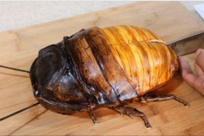 Wbiła nóż w wielkiego karalucha! Nie uwierzysz co znalazła w środku gdy go rozkroiła!