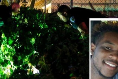 Wezwali policje widząc człowieka czającego się w krzakach! Nie uwierzysz gdzie zabrali go policjanci! 