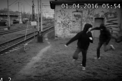 Wypuścili dzikie zwierzęta jadące do ZOO! Fatalna pomyłka złodziei węgla!