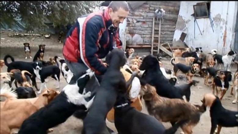 Wziął pod opiekę 450 bezdomnych psów! Zobacz jak sobie radzi! Chwyta za serce!