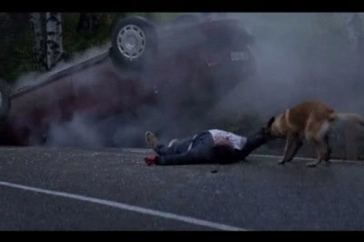 Właściciel wyrzuca psa w lesie i każe mu zostać! Odjeżdżając ma poważny wypadek i wtedy pies robi TO! 