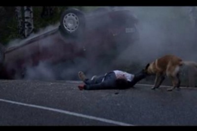 Właściciel wyrzuca psa w lesie i każe mu zostać! Odjeżdżając ma poważny wypadek i wtedy pies robi TO!