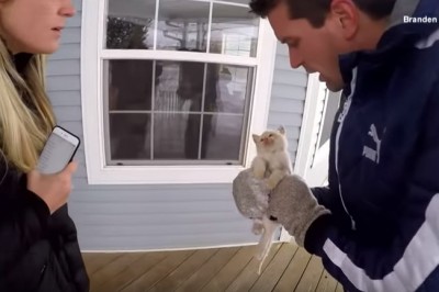 Znaleźli zamarzniętego kotka w śnieżnej zaspie! Kiedy już chcieli go pogrzebać wydarzył się cud! 