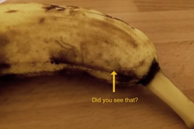 Zobacz co wyszło z wnętrza banana! Stracił apetyt na cały dzień!