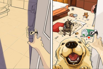 Zobacz jak wygląda życie przed i po tym jak sprawisz sobie psa! Codzienność staje się kolorowa! 