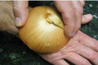 Przycisnęła połówkę cebuli do swojej dłoni! Powód dla którego to zrobiła jest niewiarygodny i bardzo przydatny! 