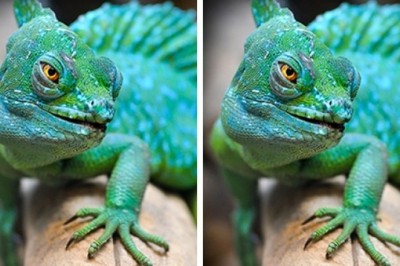 Jesteś osobą spostrzegawczą? Tylko 10 % ludzi jest w stanie dostrzec wszystkie różnice, a Ty? 