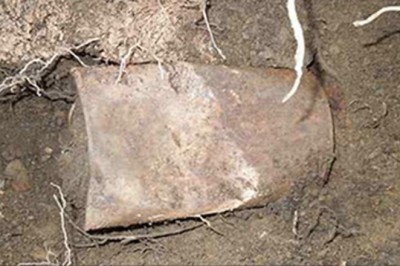 Byli na spacerze z psem gdy nagle ten znalazł coś pod drzewem! Ta stara puszka uczyniła ich milionerami! 