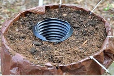 Włożyła do doniczki plastikową rurę i owinęła siatką! Jak zobaczyłam efekt końcowy to zaniemówiłam! 