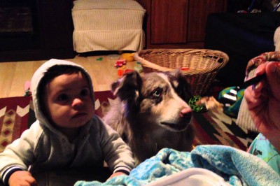 Kobieta chce, żeby jej syn powiedział „mama”! Nagle pies robi coś, co rozbawiło ją do łez!