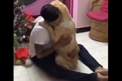 Ten psiak przeszedł ciężką operację! Spotkanie czworonoga z właścicielem wzrusza do łez!