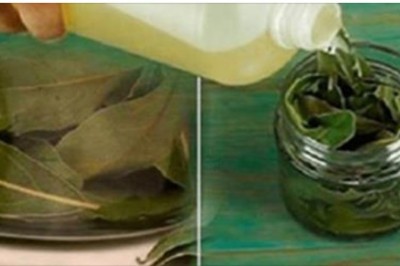 Dzięki właściwością tej rośliny  zwalczysz bezsenność, nadciśnienie, wysoki poziom cukru i cholesterol