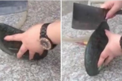  Kobieta otwiera wielkiego małża w nadziei, że znajdzie perłę! To co było w środku ją zaskoczyło zupełnie!