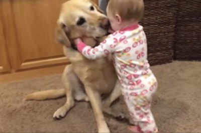 Opiekunka znęca się nad 7-miesięcznym dzieckiem. Wtedy pies postanawia zrobić coś, aby mu pomóc