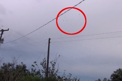 Patrząc w niebo był przekonany, że to ptaki! Jak zrozumiałam co to zaczęłam krzyczeć! 