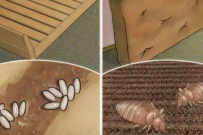 Jeśli nie chcesz, żeby w Twoim łóżku królowały roztocza, musisz zmienić kilka nawyków! 