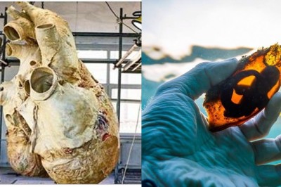 15 naturalnych rzeczy, które ciężko uwierzyć że są prawdziwe! Mało ludzi to widziało na żywo! 