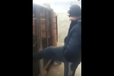 Szybka karma dopada typa, który kopał w klatkę z psem! Tego się nie spodziewał!