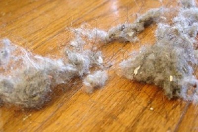 Chcesz, żeby w mieszkaniu nie tworzyły się kłęby kurzu? Wystarczy płyn który na pewno masz w swojej łazience! 