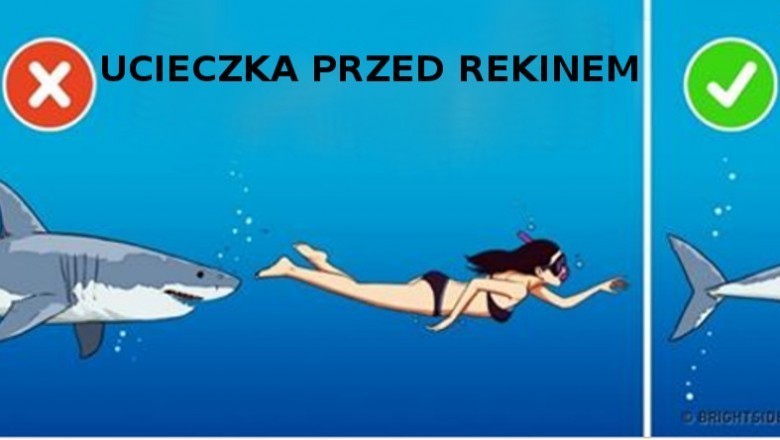 18 faktów, które zupełnie Cię zaskoczą! W pierwszej chwili stwierdzisz, że to nie możliwe!