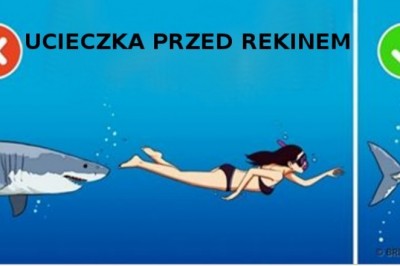 18 faktów, które zupełnie Cię zaskoczą! W pierwszej chwili stwierdzisz, że to nie możliwe!