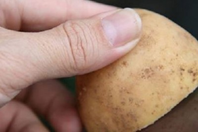 Sztuczka z połówką ziemniaka, którą powinien znać każdy kierowca! Może zaoszczędzić Ci sporo czasu