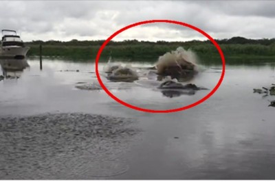 Z pozoru spokojna rzeka skrywa w sobie coś strasznego! W życiu nie wszedłbym do tej wody!