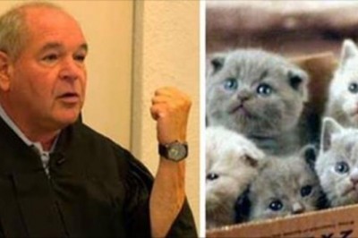 Porzuciła 35 kociaków w lesie na pewną śmierć! Sędzia wymierzył jej podobną karę! 